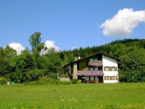 Ferienwohnung in Schlag mit großer Terrasse